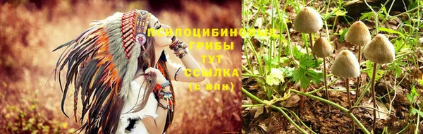 герыч Абаза