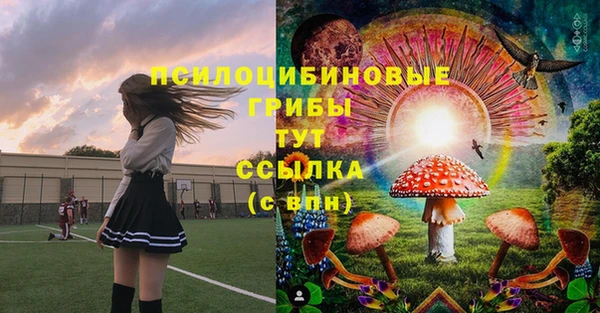 стафф Абдулино