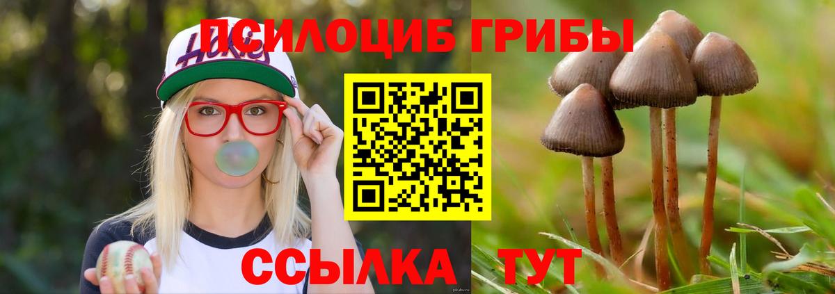 Барнаул  Галлюциногенные грибы MAGIC MUSHROOMS  Галлюциногенные грибы мухоморы  Вход с VPN 